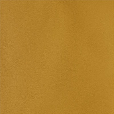 Kasmir BY DESIGN        HONEY           